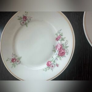 Vintage Plankenhammer Floss Bavaria Germany Floral Dishes x7